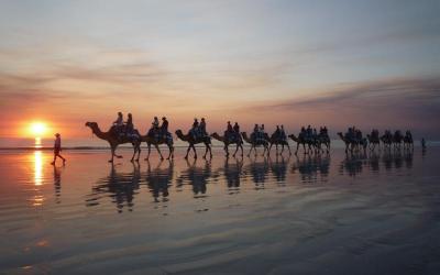 Camel Ride Sunset Experience - Broome Camel Safaris