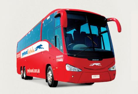 greyhound bus